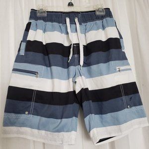 Sandpiper Waves Stripe Swim Shorts Board Shorts